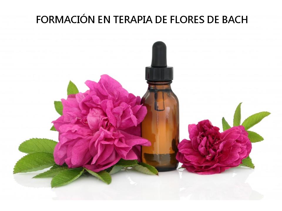 Formación en Terapia de Flores de Bach - a tu ritmo