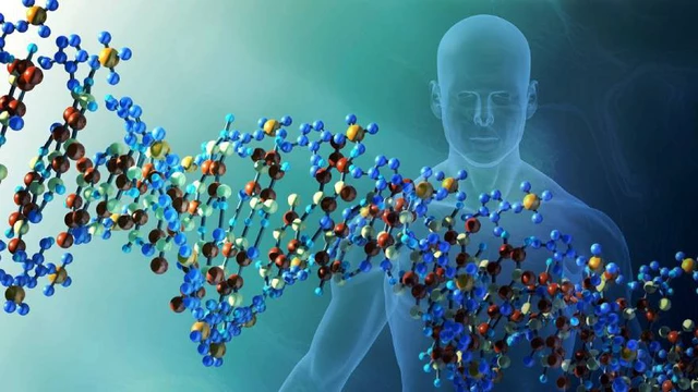 ¿Cómo interpretar los síntomas del cuerpo desde la Biodescodificación?